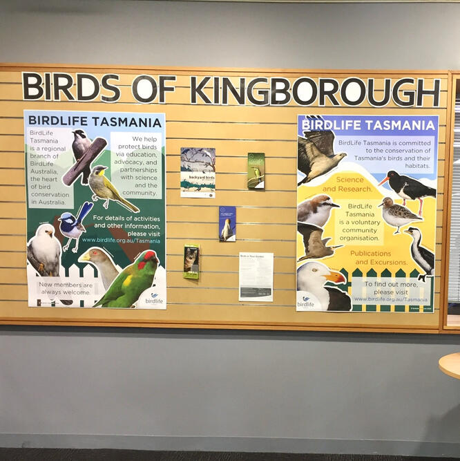 Birdlife Tasmania Library Display, digital