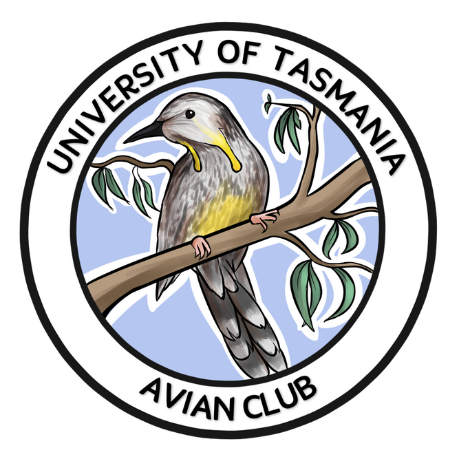UTAC Logo (with Nenagh Cavarretta), digital